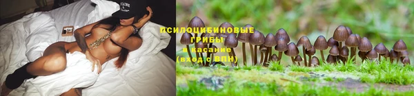 MDMA Premium VHQ Магас