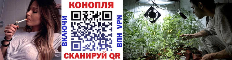 дарнет шоп  Сосногорск  Бошки марихуана гибрид 